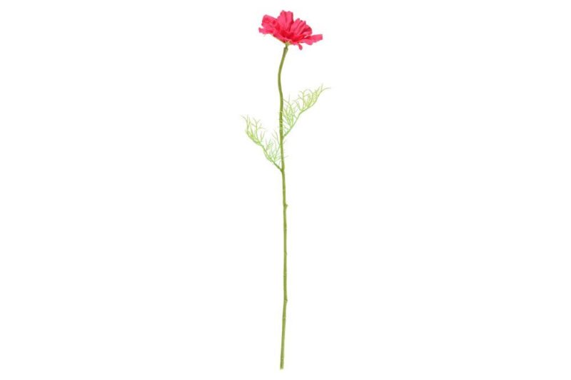 4LIVING KOSMOSKUKKA OKSA FUKSIA