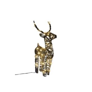 AIRAM BERTIL ROTTINKI KAURIS